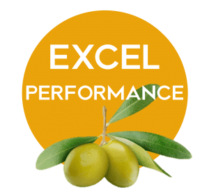 Excel Performance