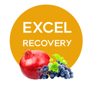 Excel Recovery